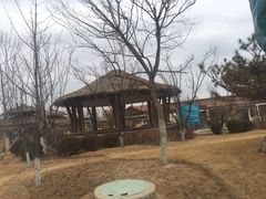 -大连金石滩绿发温泉假日酒店