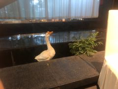 -眉州东坡(通州店)