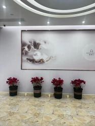 -紫琪尔胸部养护中心