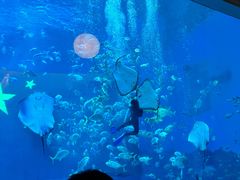 -南昌融创海世界