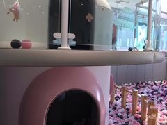 -龙格亲子游泳·水育早教运动中心(绿城店)