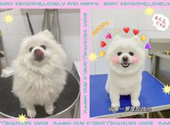 -全心全意连锁动物医院(加州店)
