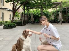 -嘉善老市