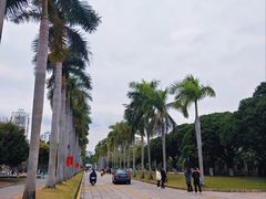-厦门大学(思明校区)