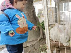 -锦欣爱天使托育园(狮子山园)