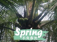 -深圳湾公园(南山区)
