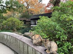 -无锡惠山寺
