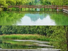 -野鸭湖国家湿地公园