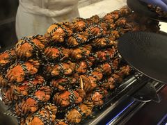 -新发展亚太JW万豪酒店·福苑咖啡厅