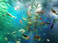 -沈阳海洋探索中心