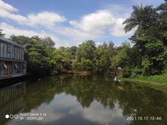 -锡才大羽羽毛球馆(深港花卉店)