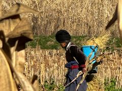 -泸沽湖国家级风景名胜区走婚桥