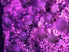 -三旗百汇商品城