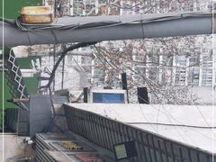 -燕子煨汤(山海关路店)