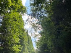 -山王坪喀斯特国家生态公园