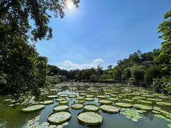 -广州莲花山旅游区