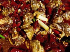 香辣大田螺-三哥田螺(北书院街店)