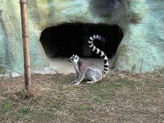 -杭州野生动物世界
