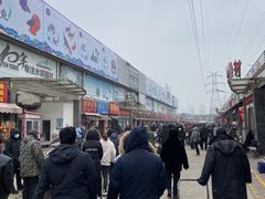 -中环花鸟鱼虫市场