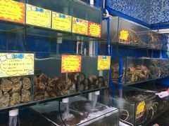 水产区-蚝专家(北滘店)