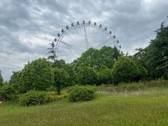 -宜兴龙背山森林公园