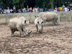 -西安秦岭野生动物园