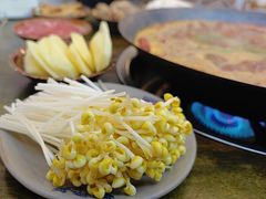 -黄潇洒老火锅(九眼桥宏济巷店)