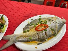 -蛇口康乐快餐鱼仔档(翠苑小区店)