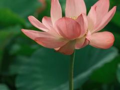 -梁鸿国家湿地公园