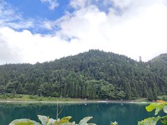 -武陵山森林公园