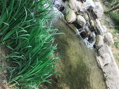 -白水寺森林公园