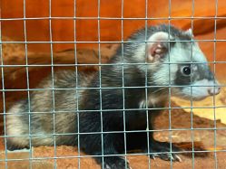 -酷嗒动物文化乐园(cutezoo西溪乐天城店)