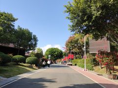 -仙岳公园