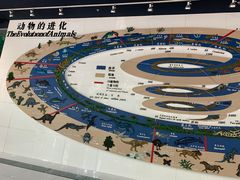 -昆明动物博物馆