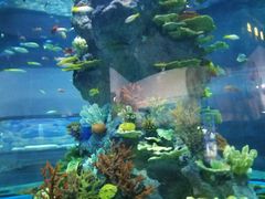 -福州罗源湾海洋世界旅游区