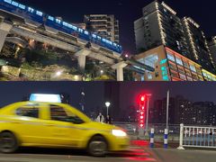 -李子坝梁山鸡(李子坝大鸡哥店)