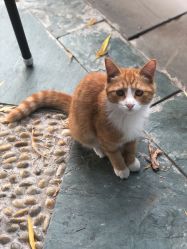 -颐和宾馆宴会厅