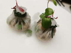 -觀芷隐轩