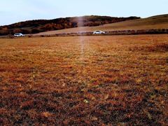 -塞罕坝国家级自然保护区