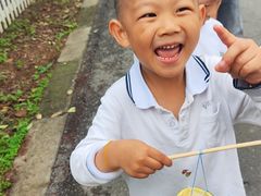 -前小桔亲子创意农场·草莓采摘·露营烧烤