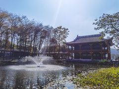 -顺峰山公园
