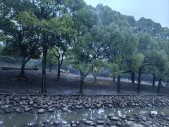 -上海野生动物园
