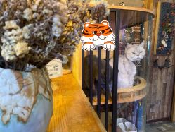 -青木造型HAIR·あおき髪を刈る潮人店