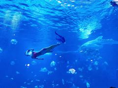 -烟台海昌鲸鲨海洋公园