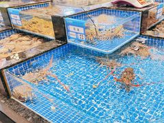 水产区-东海怡品海鲜豆捞(星街坊店)