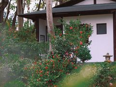 -深圳国际园林花卉博览园