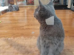 -乐宠宠物店(世纪金源店)