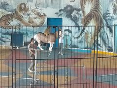 -新疆天山野生动物园