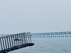 -星海广场