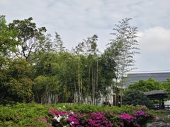-常熟方塔园